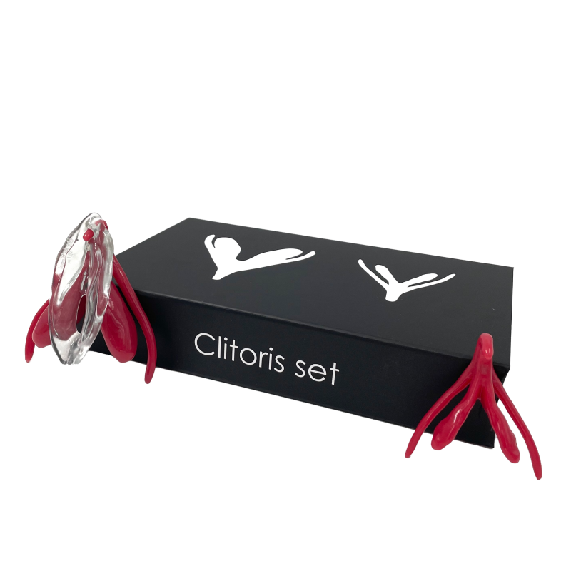 Clitoris Set - Flaccid & Erect + Vulva