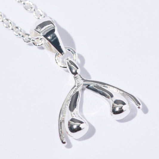 ODE Amsterdam necklace silver plated