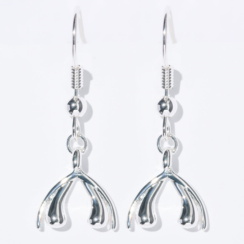 ODE Amsterdam earrings silver plated